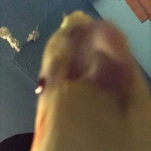 Meet your Posher, Avery